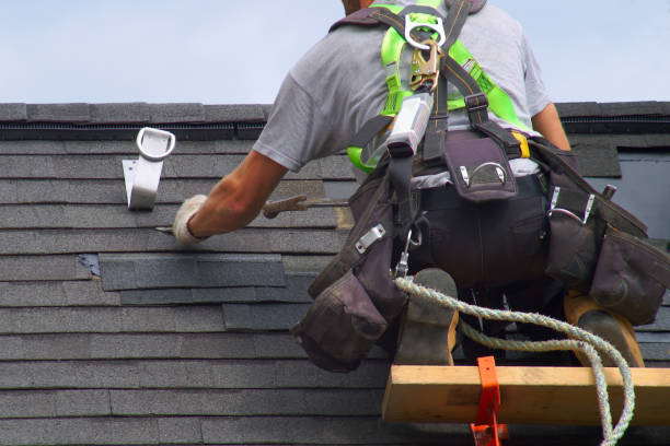 Best Roof Repair Services  in Toulon, IL