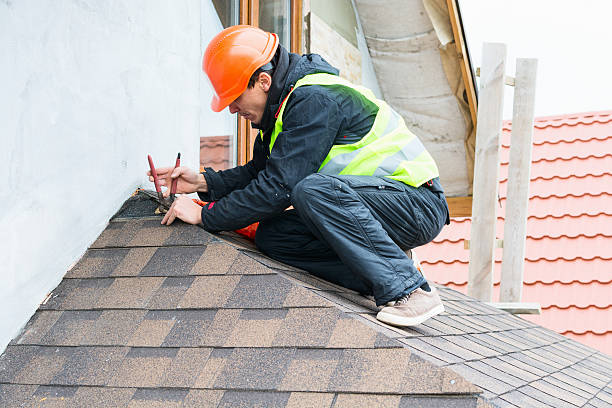 Best Residential Roofing Contractor  in Toulon, IL
