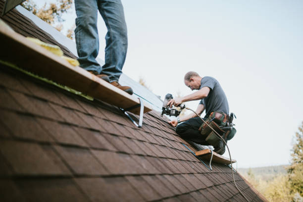 Best Storm Damage Roof Repair  in Toulon, IL