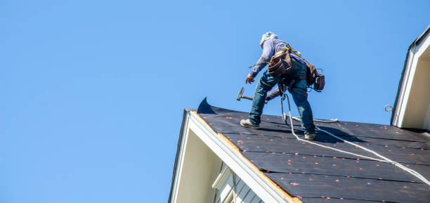Roof Gutter Cleaning in Toulon, IL